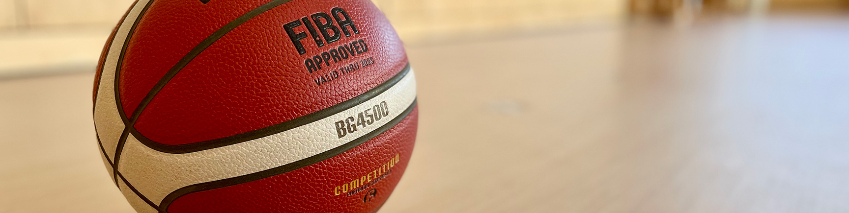 Basketball Abteilung TSV Bietigheim Hero