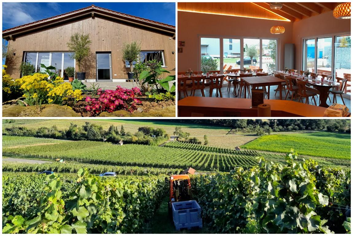 Einladung-zur-sportlichen-TSV-Sommerweinprobe