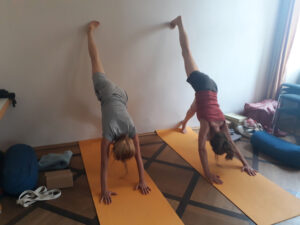 Hund Mit Beinvariante